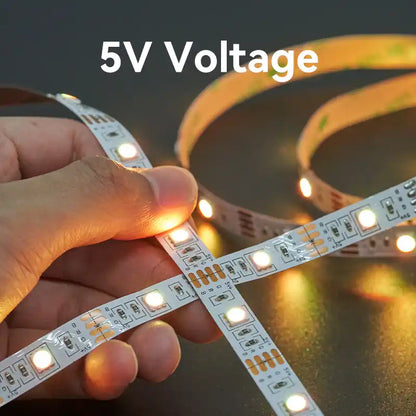 LED Lights
