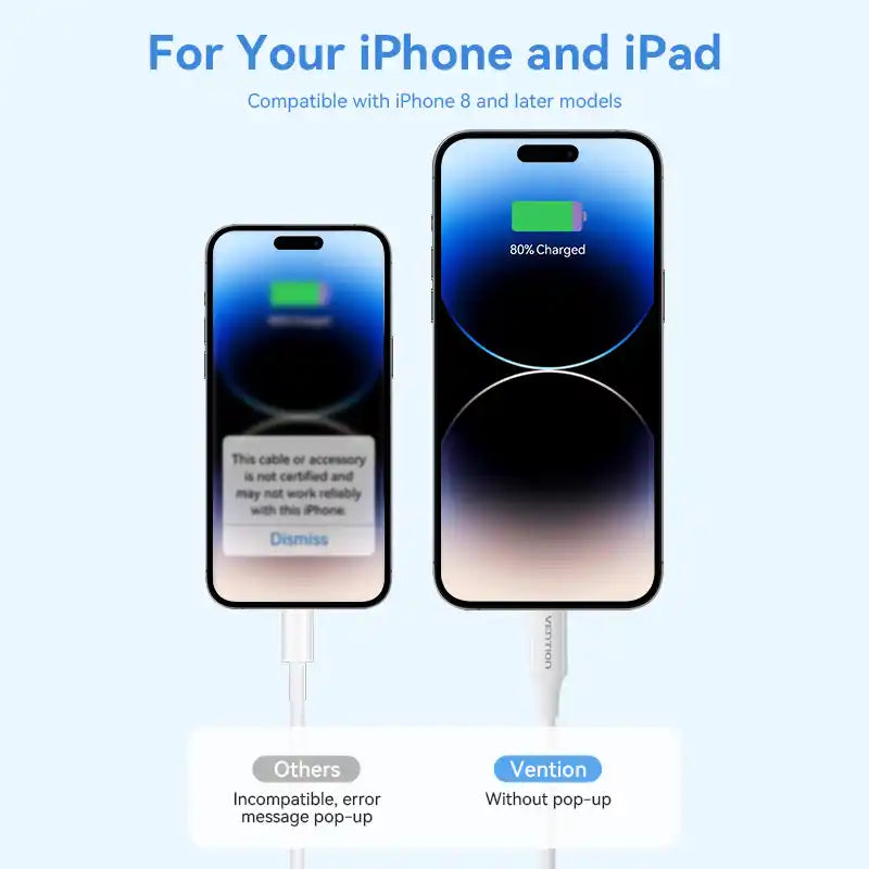 USB-C to Lightning Cable