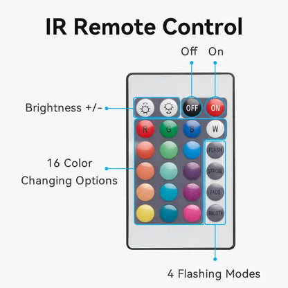 LED Lights