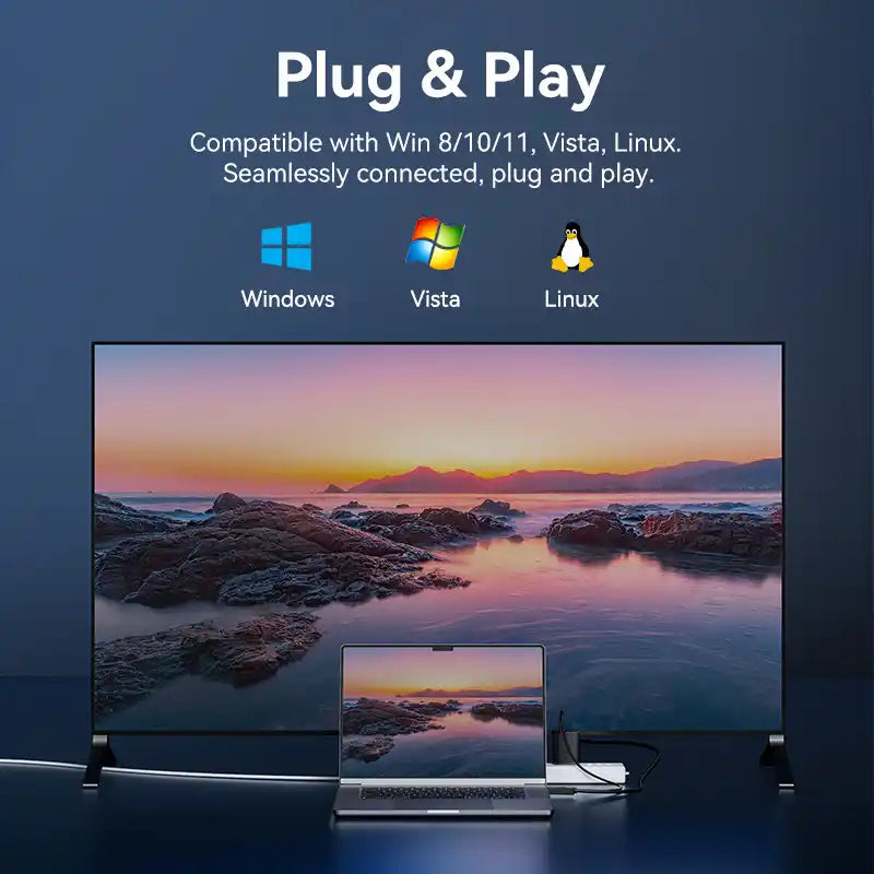 HDMI To DisplayPort Cable
