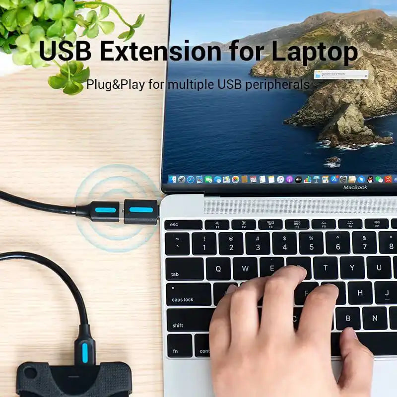OTG Type-C to USB